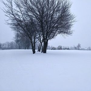 Meet your Posher, Nina